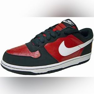 Big NIKE Low